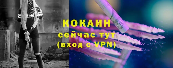 спиды Новодвинск
